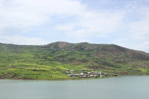 IMG_9020